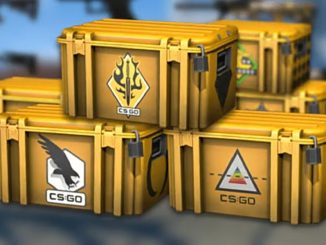 cs 2 cases